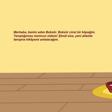 Turkish-bedtime-story-for-children-Boxer-and-Brandon-KidKiddos-Books-page1