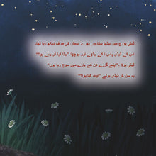 A-Wonderful-Day-Sam-Sagolski-Urdu-Only-children-book-page5