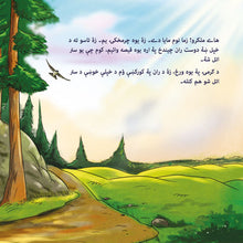 Being-a-Superhero-Liz-Shmuilov-Pashto-children-book-page4