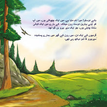 Being-a-Superhero-Liz-Shmuilov-Urdu-children-book-page5