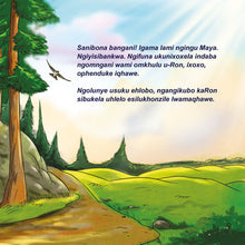 Being-a-Superhero-Liz-Shmuilov-Zulu-children-book-page5