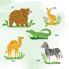 Illustrations of a bear, kangaroo, crocodile, camel, and zebra on a light green background with Chinese text labels.