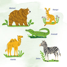 First-Picture-Dictionary-Animals-Serbian-Latin-children-book-page5