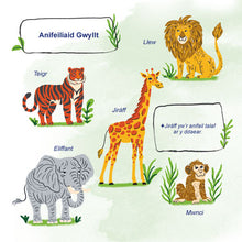 First-Picture-Dictionary-Animals-Welsh-children-book-page4