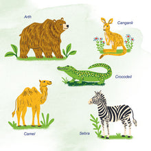 First-Picture-Dictionary-Animals-Welsh-children-book-page5
