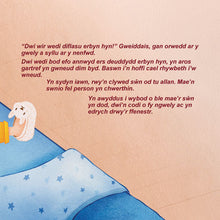 From-My-Window-Rayne-Coshav-Welsh-Kids-Book-page5