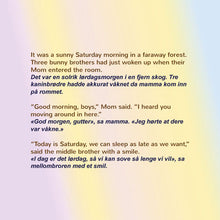 I-Love-to-Keep-My-Room-Clean-Shelley-Admont-English-Norwegian-children-book-page4