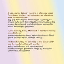 I-Love-to-Keep-My-Room-Clean-Shelley-Admont-English-Tamil-Bilingual-book-page4
