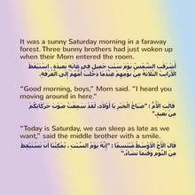 Room-children-book-English-Arabic-page4