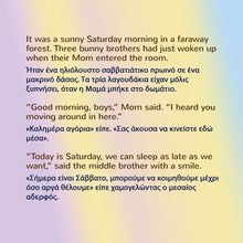 Room-childrens-book-English-Greek-Page_04