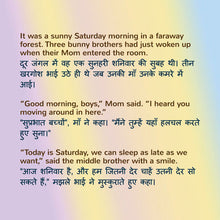 Room-childrens-book-English-Hindi-Page_04