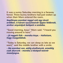 Room-childrens-book-English-Hungarian-Page_04
