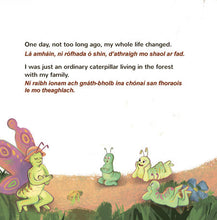 The-traveling-Caterpillar-Rayne-Coshav-English-Irish-Childrens-book-page4
