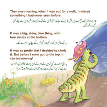 The-traveling-Caterpillar-Rayne-Coshav-English-Urdu-Childrens-book-page6