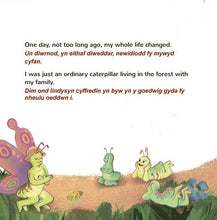 The-traveling-Caterpillar-Rayne-Coshav-English-Welsh-Childrens-book-page4