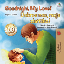 English-Czech-Bilingual-baby-bedtime-story-Goodnight_-My-Love-cover