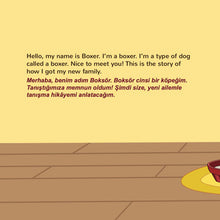 English-Turkish-Bilingual-bedtime-story-for-children-KidKiddos-Books-Boxer-and-Brandon-page1