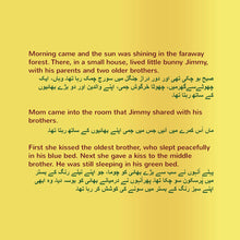 English-Urdu-Bilingual-children's-picture-book-Shelley-Admont-page1