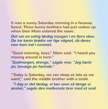 English-Danish-Bilingual-I-Love-to-Keep-My-Room-Clean-Bedtime-Story-for-kids-page1